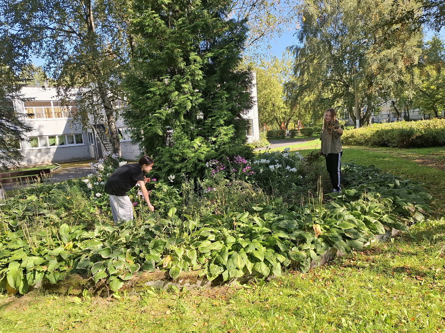 На приусадебном участке много работы