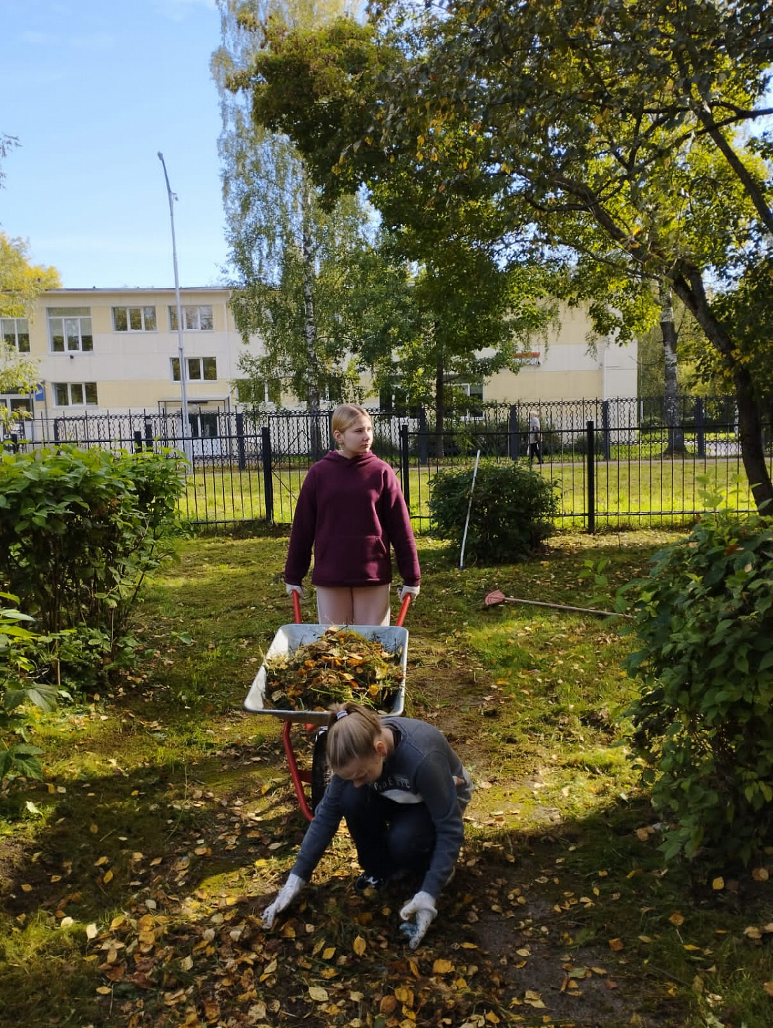 16.09.2023 г. воспитанники помогали убирали территорию ГБУ ЛО «Тихвинский ресурсный центр» от опавшей листвы