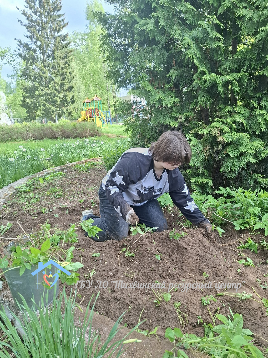 Весенние заботы