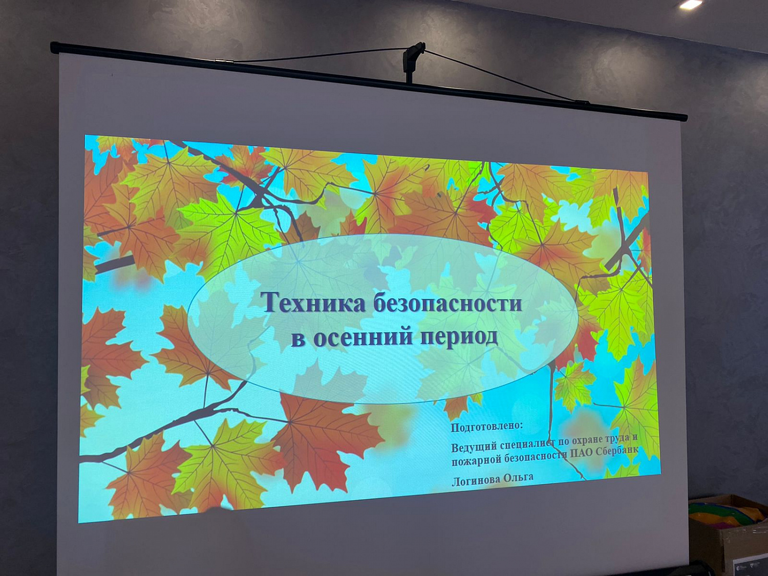 Сотрудники ПАО Сбербанк провели обучающие мероприятие в игровой форме с воспитанниками ГБУ ЛО «Тихвинский ресурсный центр»