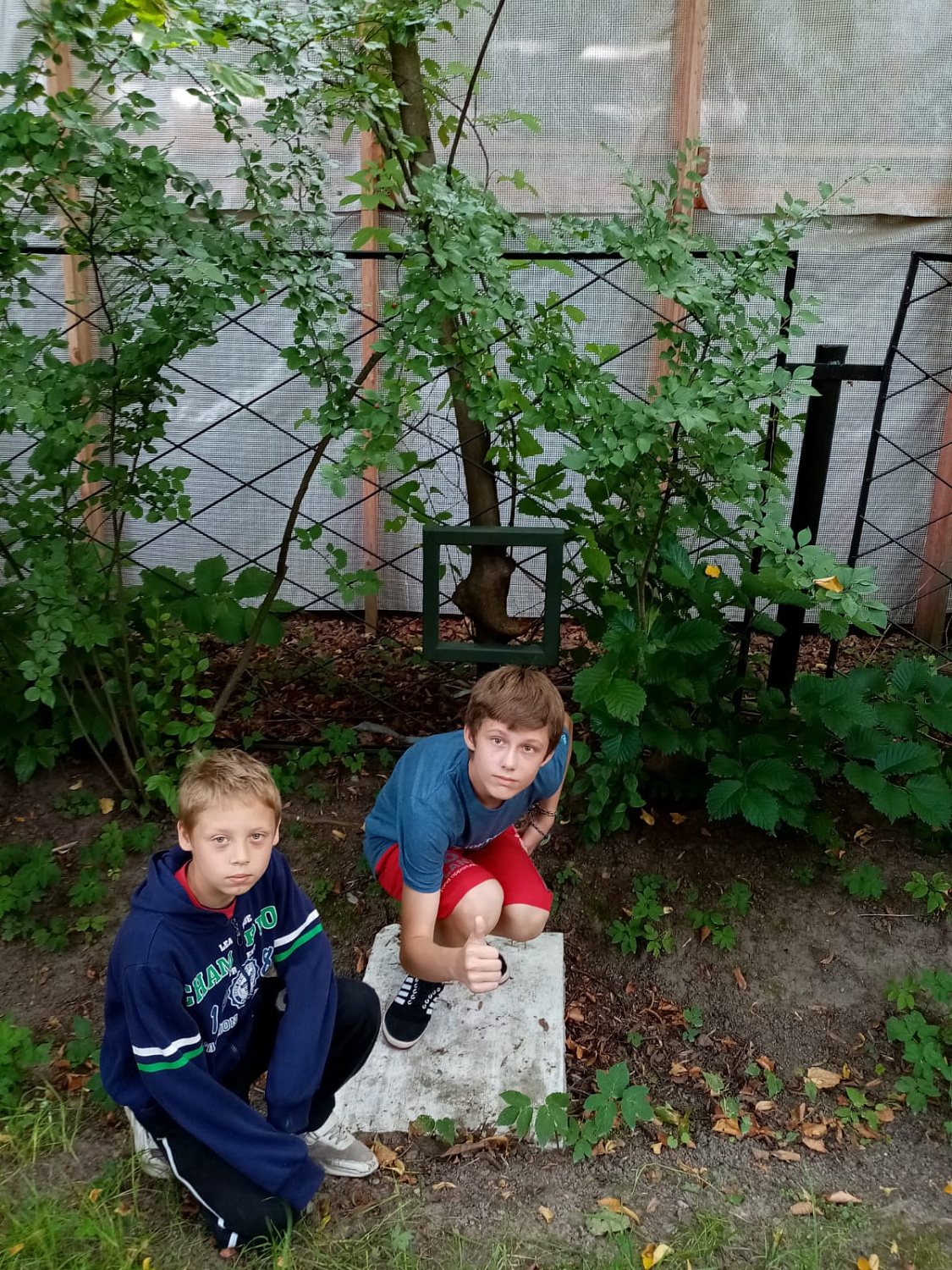Дом-музей П. П. Чистякова