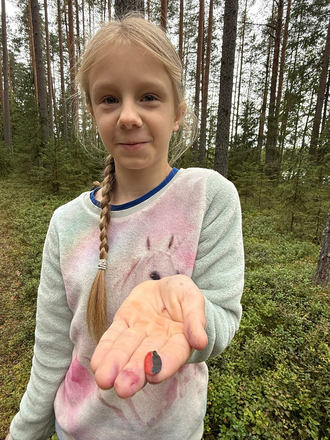 Увлекательная прогулка в лес